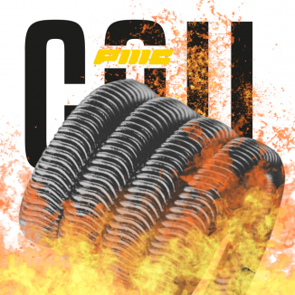 PMC - Baby Alien Coil - 0.75 ohm (2 PCS) - Vbar.it